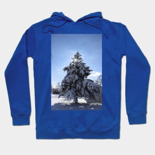 Snowy Evergreen tree with a Star Hoodie